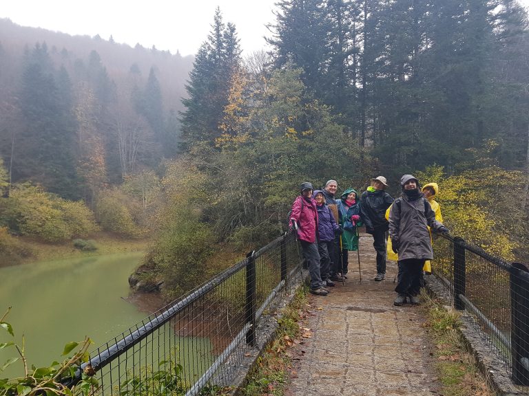 senderismo en los bosques